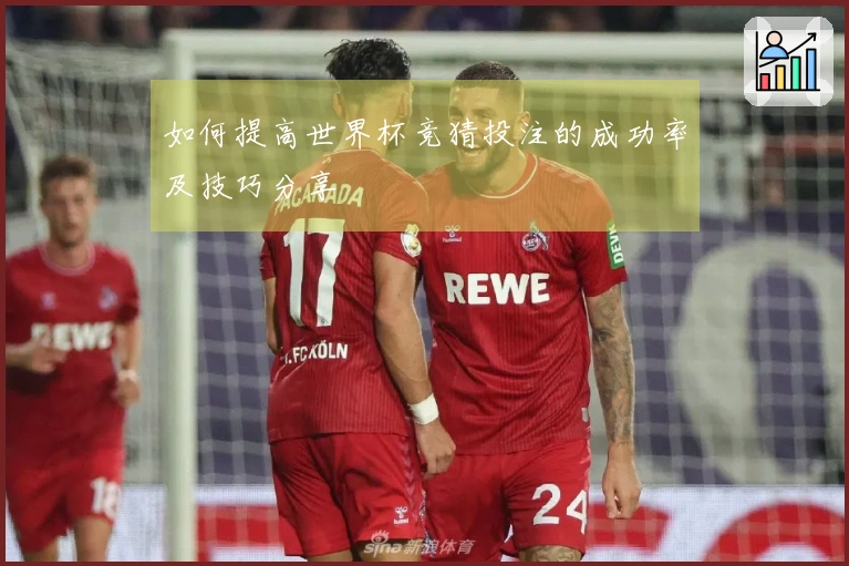 如何提高世界杯竞猜投注的成功率及技巧分享
