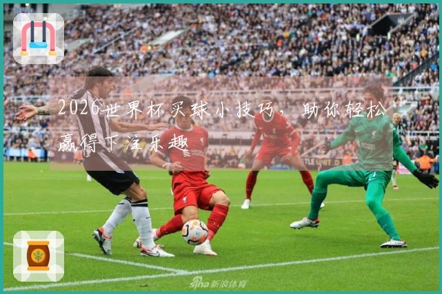 2026世界杯买球小技巧，助你轻松赢得下注乐趣