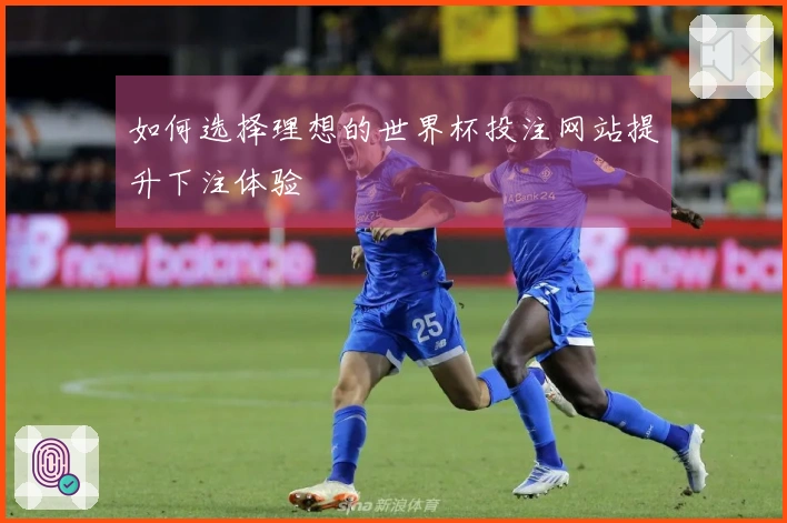 如何选择理想的世界杯投注网站提升下注体验