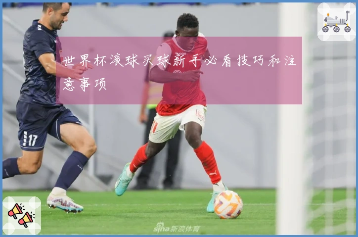 世界杯滚球买球新手必看技巧和注意事项