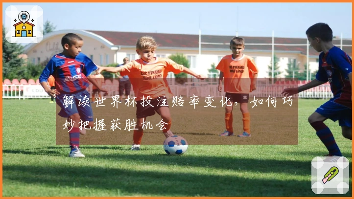 解读世界杯投注赔率变化，如何巧妙把握获胜机会