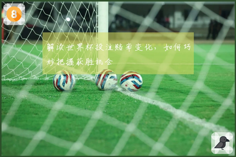 解读世界杯投注赔率变化，如何巧妙把握获胜机会