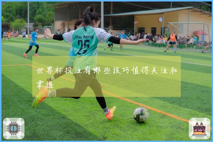 世界杯投注有哪些技巧值得关注和掌握