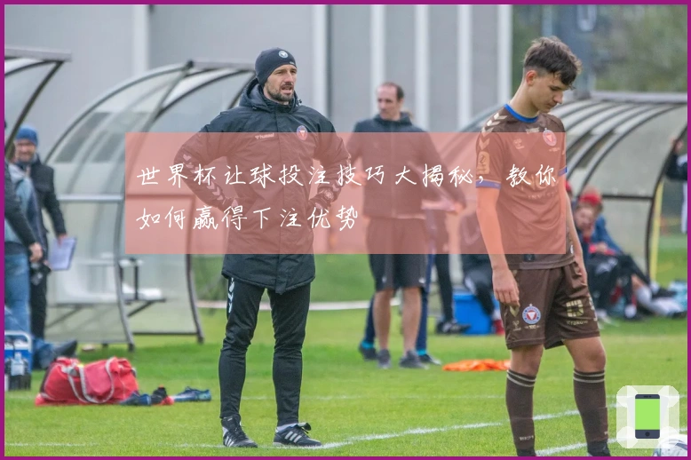世界杯让球投注技巧大揭秘，教你如何赢得下注优势