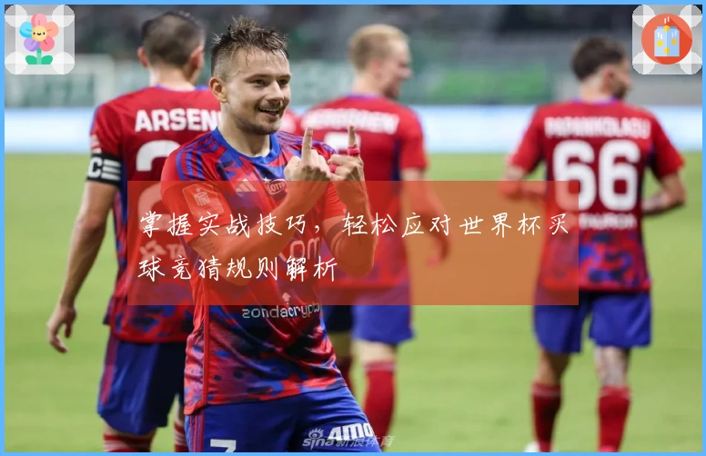 掌握实战技巧，轻松应对世界杯买球竞猜规则解析