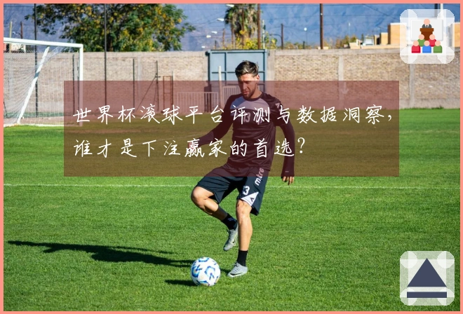 世界杯滚球平台评测与数据洞察，谁才是下注赢家的首选？
