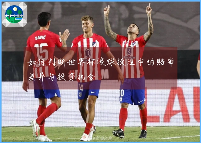 如何判断世界杯滚球投注中的赔率差异与投资机会