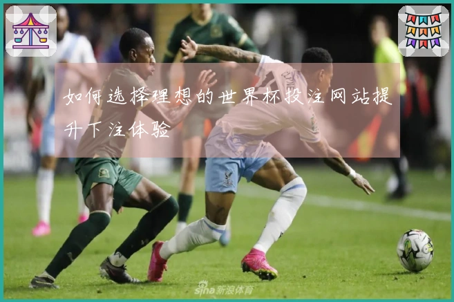 如何选择理想的世界杯投注网站提升下注体验
