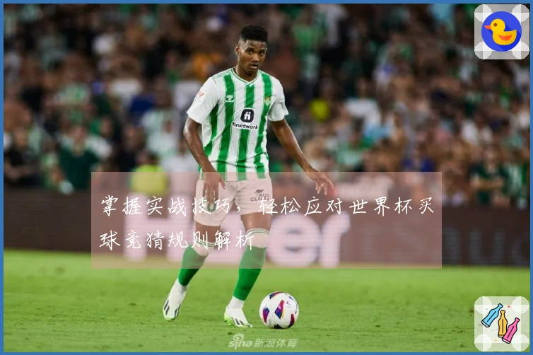 掌握实战技巧，轻松应对世界杯买球竞猜规则解析