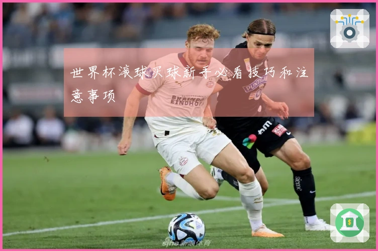 世界杯滚球买球新手必看技巧和注意事项