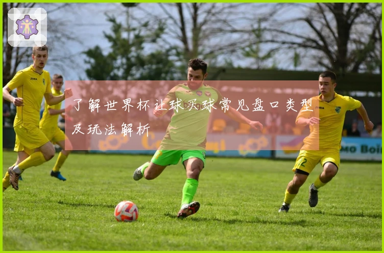了解世界杯让球买球常见盘口类型及玩法解析