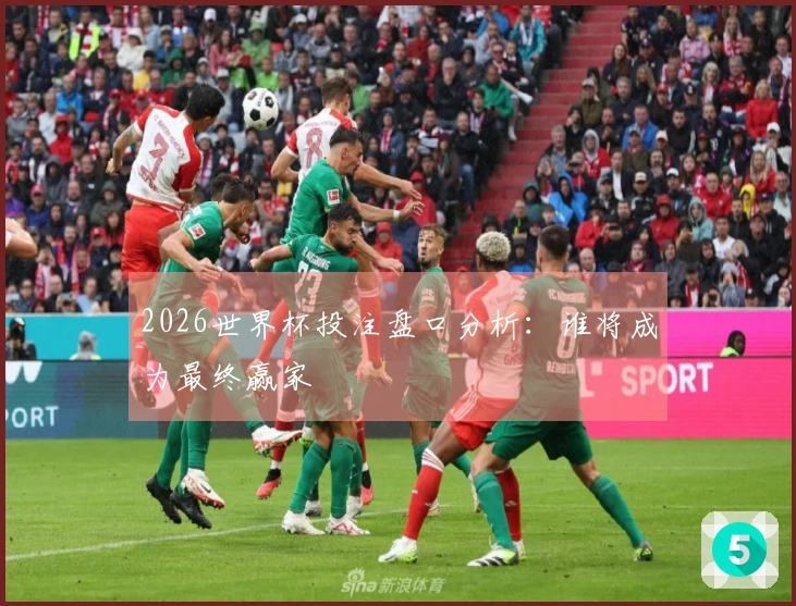 2026世界杯投注盘口分析：谁将成为最终赢家