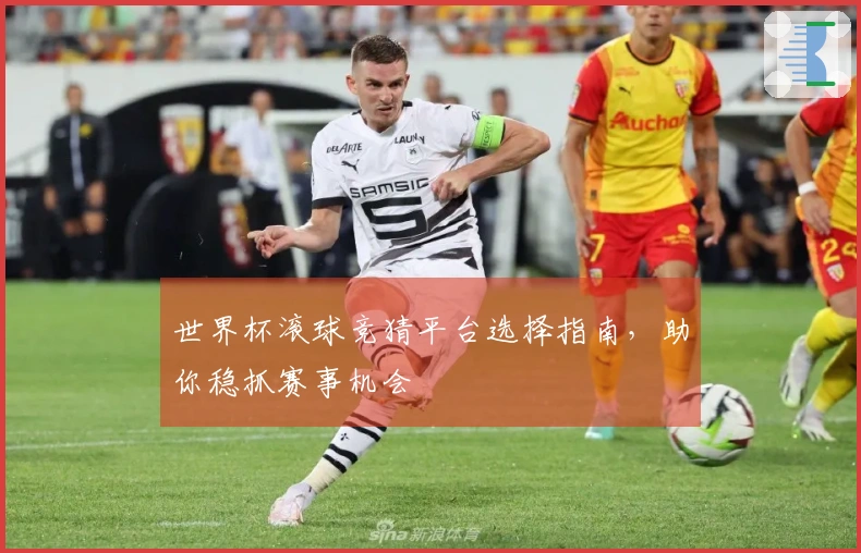 世界杯滚球竞猜平台选择指南，助你稳抓赛事机会