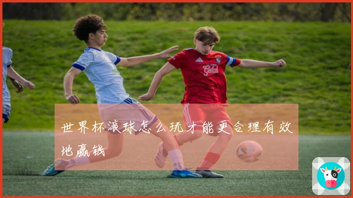 世界杯滚球怎么玩才能更合理有效地赢钱