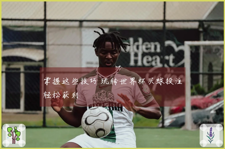 掌握这些技巧 玩转世界杯买球投注轻松获利