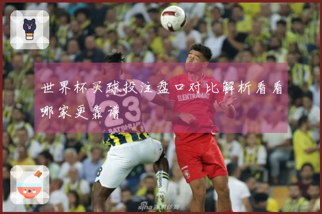 世界杯买球投注盘口对比解析看看哪家更靠谱