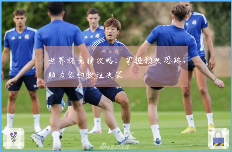 世界杯竞猜攻略：掌握预测思路，助力你的投注决策
