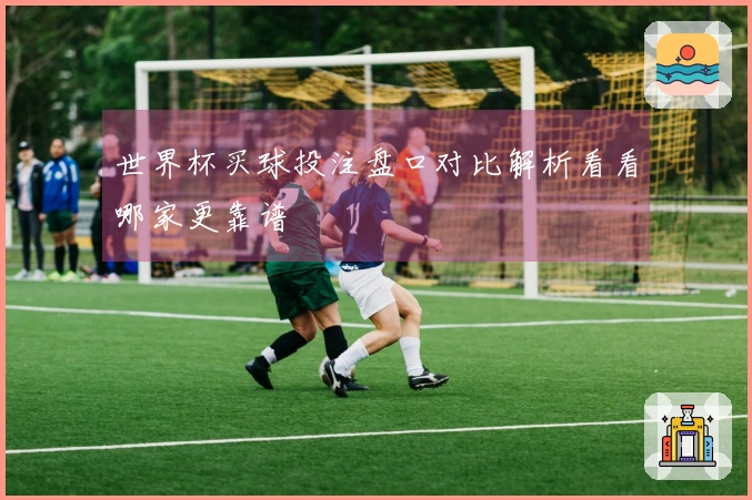 世界杯买球投注盘口对比解析看看哪家更靠谱