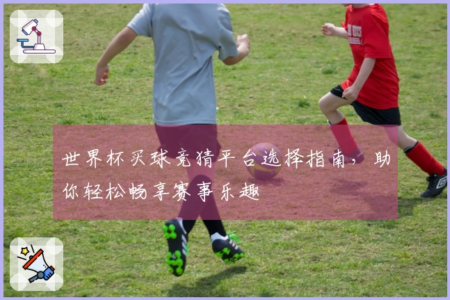 世界杯买球竞猜平台选择指南，助你轻松畅享赛事乐趣