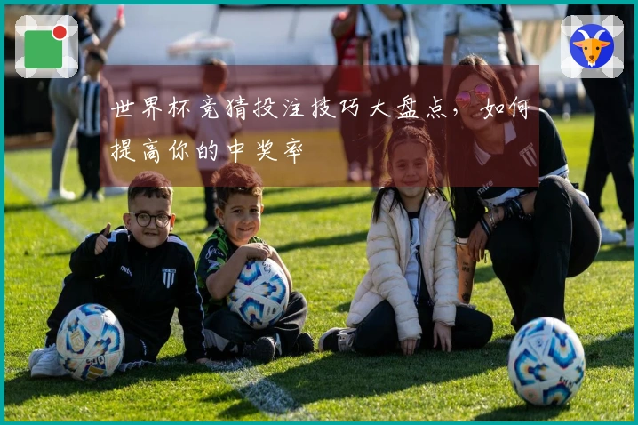 世界杯竞猜投注技巧大盘点，如何提高你的中奖率