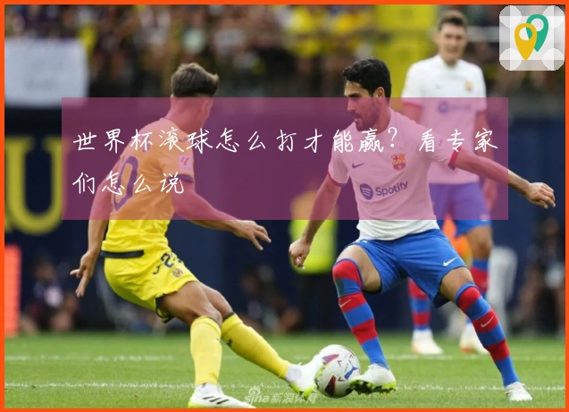 世界杯滚球怎么打才能赢？看专家们怎么说