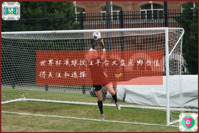世界杯滚球投注平台大盘点 哪些值得关注和选择
