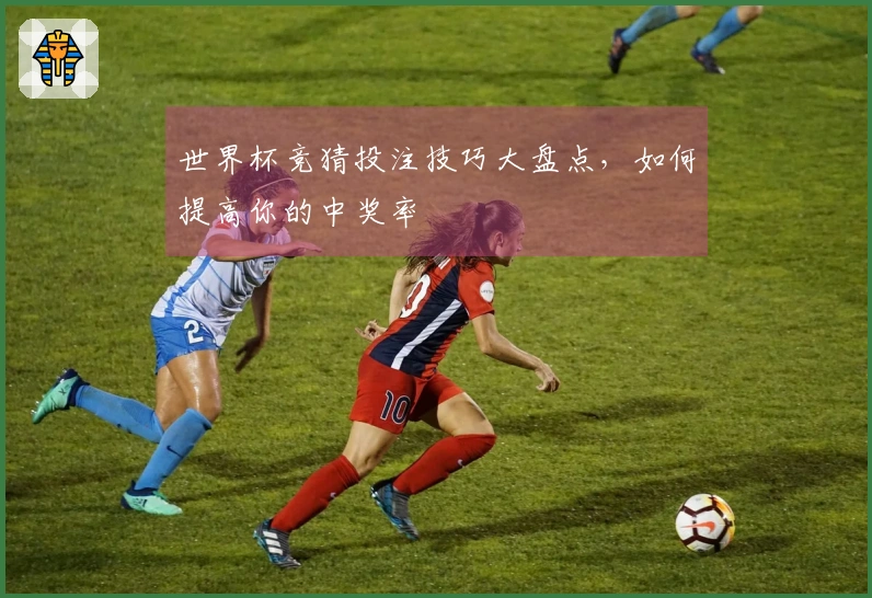 世界杯竞猜投注技巧大盘点，如何提高你的中奖率
