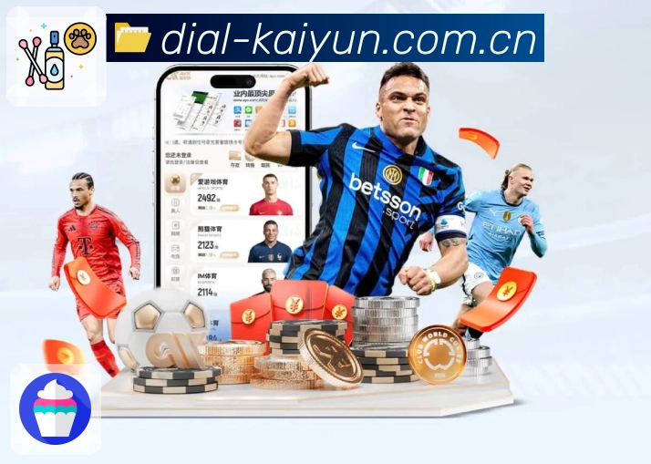 回放与集锦入口